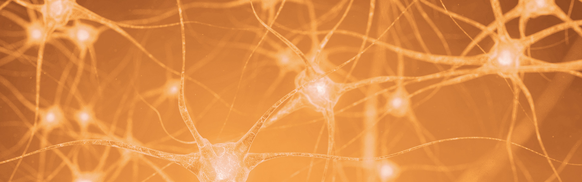 Neurologie / Nervenheilkunde